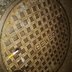 SewerliDD