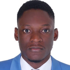 Wilfried Martin AMOI