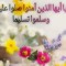sarahmahran24@gmail.com
