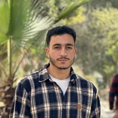 عبدالرحمن ذكي