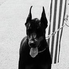 Gassboi