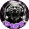 B1G_51CK