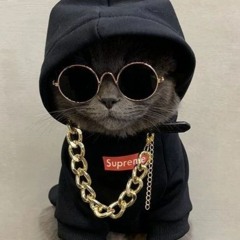 P¥RØ