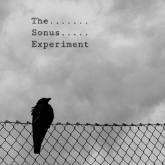 The Sonus Experiment