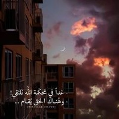 كوكي