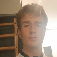maarten zielhuis