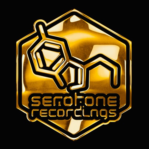 Serotone Recordings — artist photo