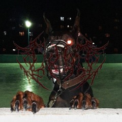 Toxicclxve!
