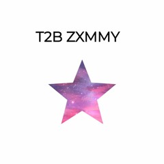 T2B Zxmmy