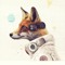 De Fuchs