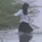 tempester