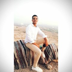 Mahmoud Ammar