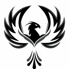PhoeniX 360