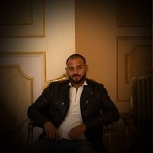Mostafa Al Hawari’s avatar