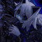 Miaww｡a ☆