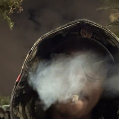 TyrannosaurusShane🏦