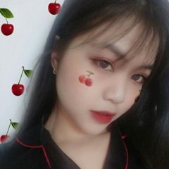 Wyn1113