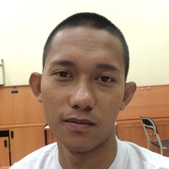 Aldi Anas