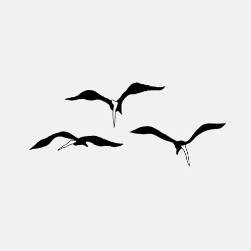 Les Oiseaux Noirs’s avatar