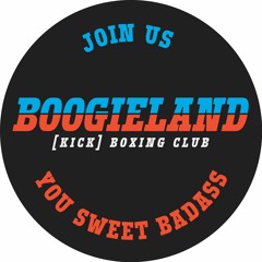 BoogielandBoxingBags