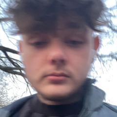 jaden holod