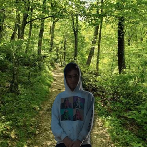 Everybody Knows Me (Ft. DominoStudios) (alternate version)