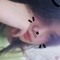 Dương Trinh