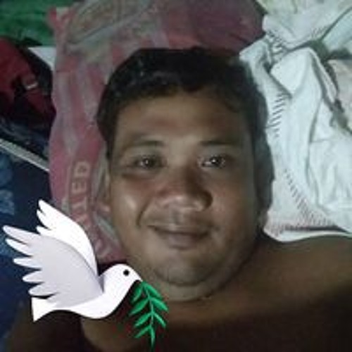 Hendra Syahputra’s avatar