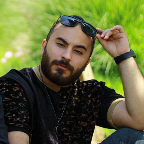 Mohammadreza Khakpourian’s avatar