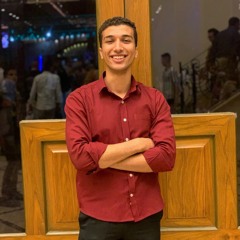 Mahmoud Mostafa