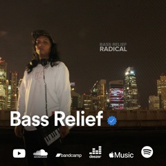 Bass Relief Mixtape