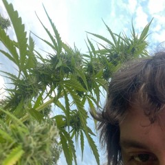 Мамочка - Воровочка (Locked Club Remix)