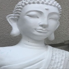 covero