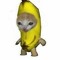Banan_Cat