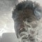 2wo6ixx