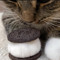snowfallHD