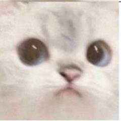 달아