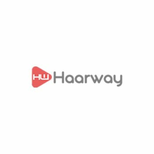Haarway’s avatar