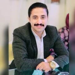 Mahmoud Samy Aboulela