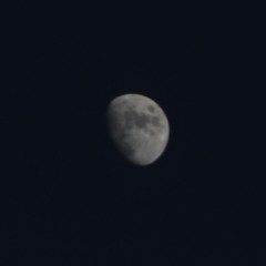 الجماعة الاسلامية.mp3