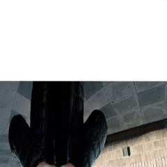 6641298