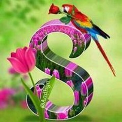 Om Smora Elsadeek