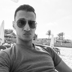 Ebrahim Shawky Ghonem