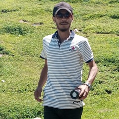 Hamza Sohail Butt