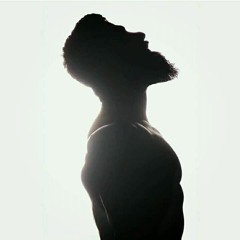 الوردة الحمراء