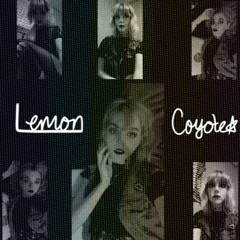 Lemon Coyote