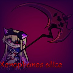 Xenophanes alice(100%)