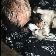 Toro Inoue ♰ (@amanojakunonoroi)