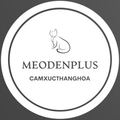 Mèo Đen Plus