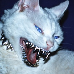 Dayydarkk